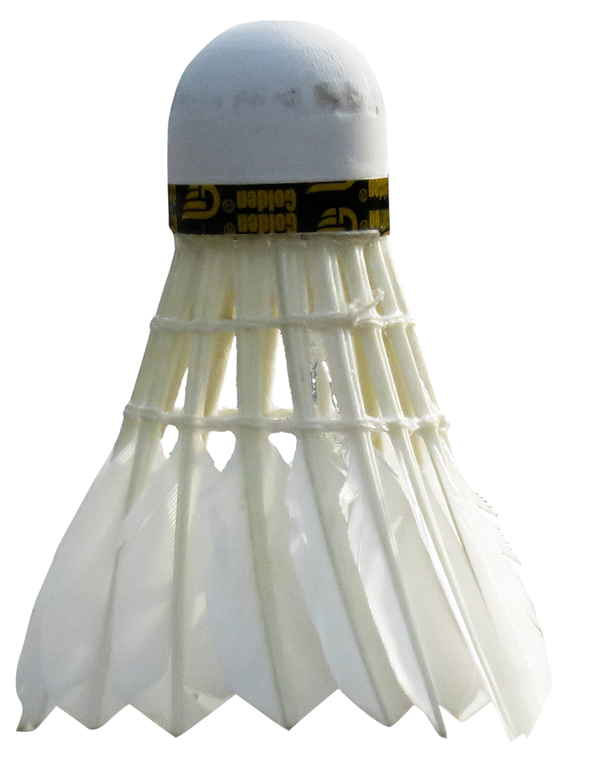 shuttlecock, shuttlecock png, shuttlecock PNG image, transparent shuttlecock png image, shuttlecock png full hd images